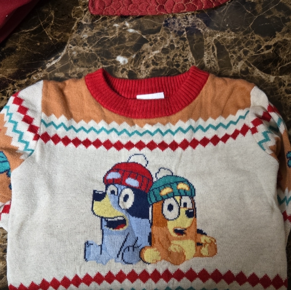 Boys Bluey Sweater